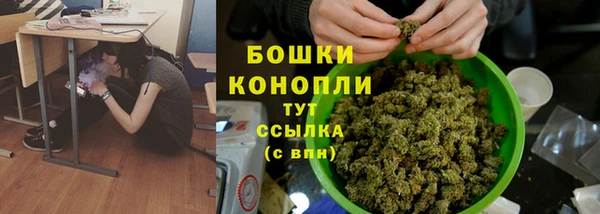 бошки Богданович