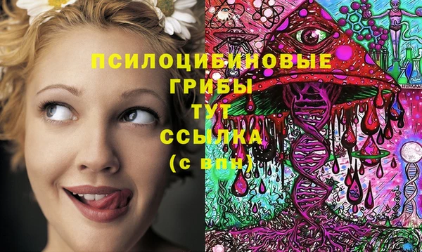 таблы Богородицк